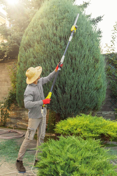 Best Aeration Services  in Savage, MN